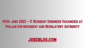 PERA Jobs 2025 – IT Resident Engineer Vacancies at Punjab Enforcement and Regulatory Authority